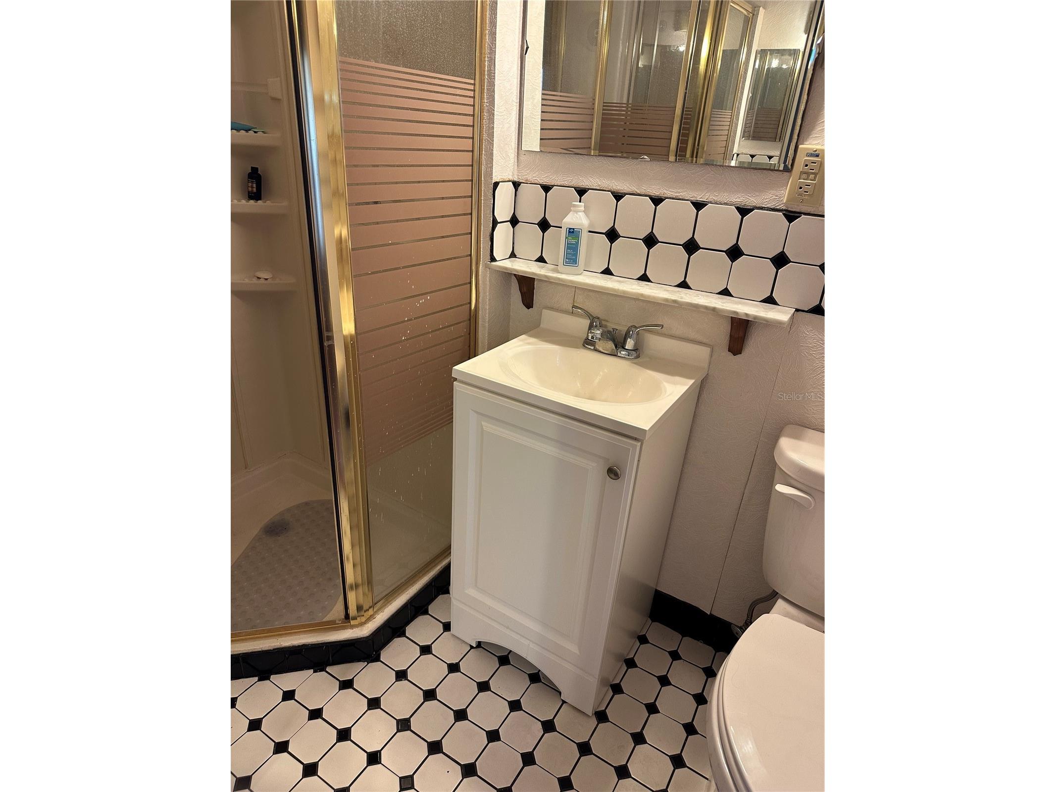 907 Orchid Street The Villages FL 32159 G5111273 image25