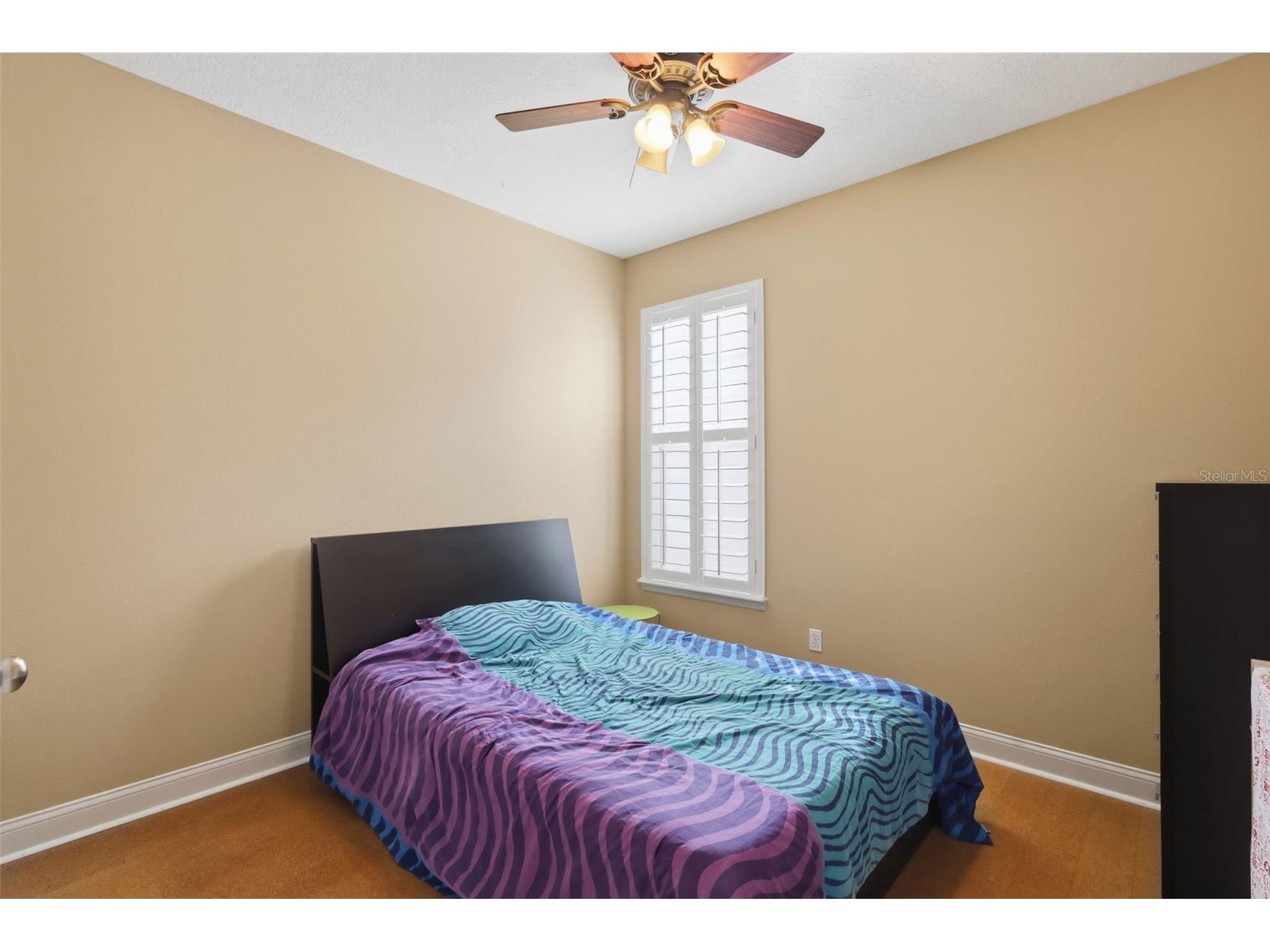 907 Pawstand Road Celebration FL 34747 S5149179 image27