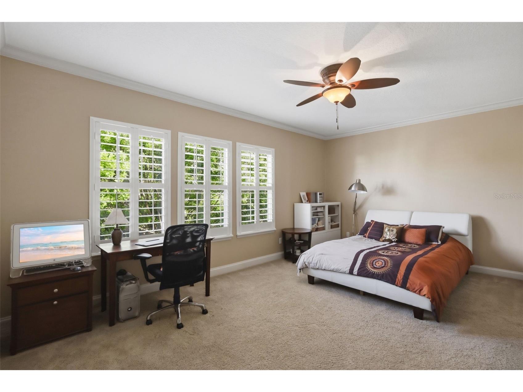 907 Pawstand Road Celebration FL 34747 S5149179 image29