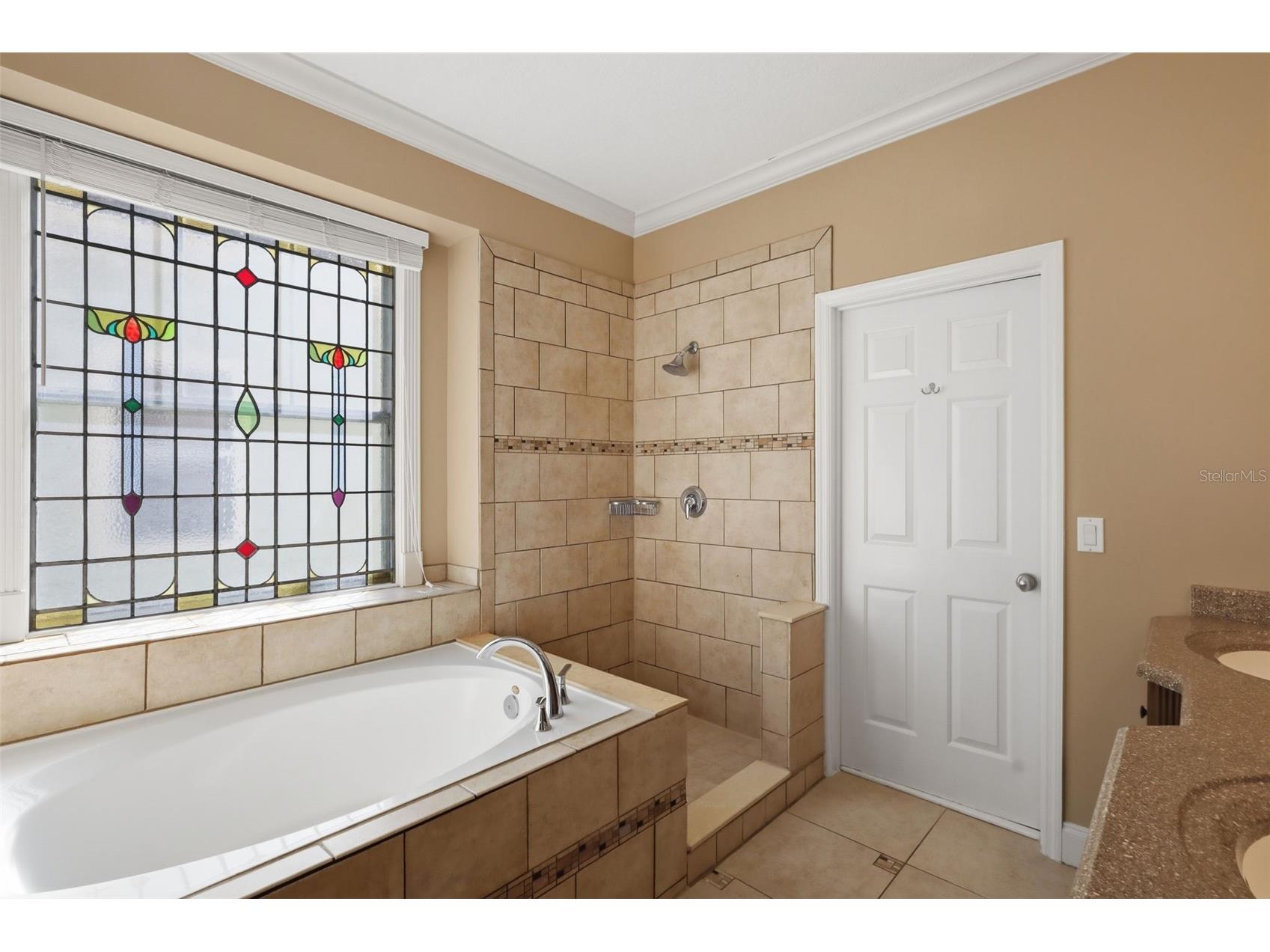 907 Pawstand Road Celebration FL 34747 S5149179 image30