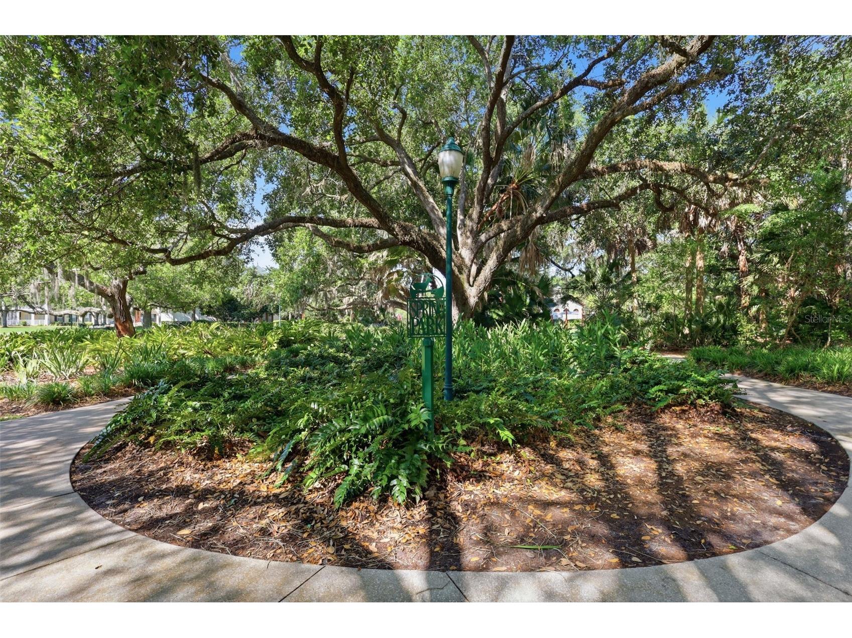 907 Pawstand Road Celebration FL 34747 S5149179 image39