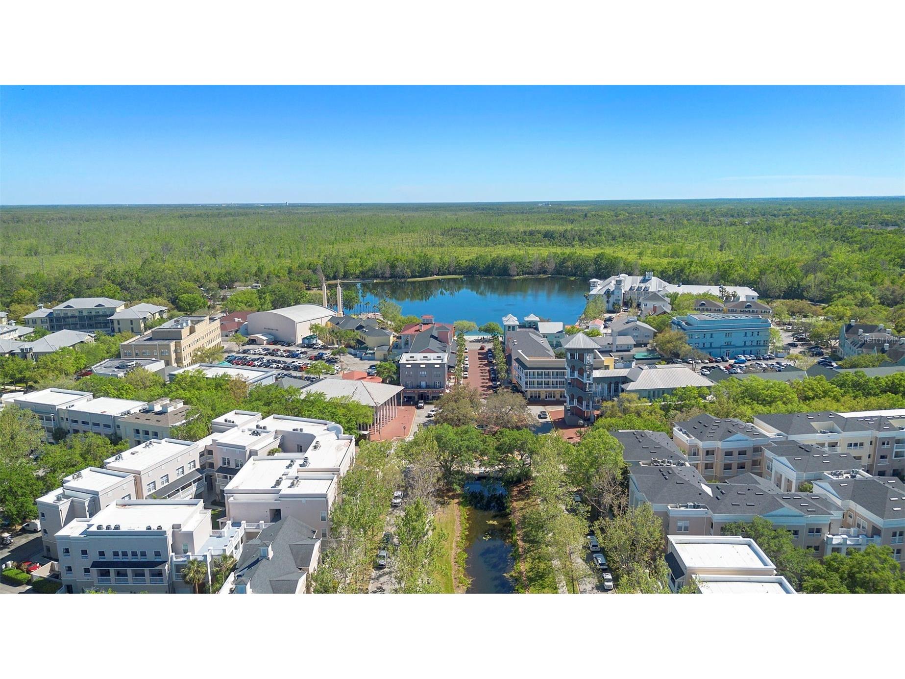 907 Pawstand Road Celebration FL 34747 S5149179 image45