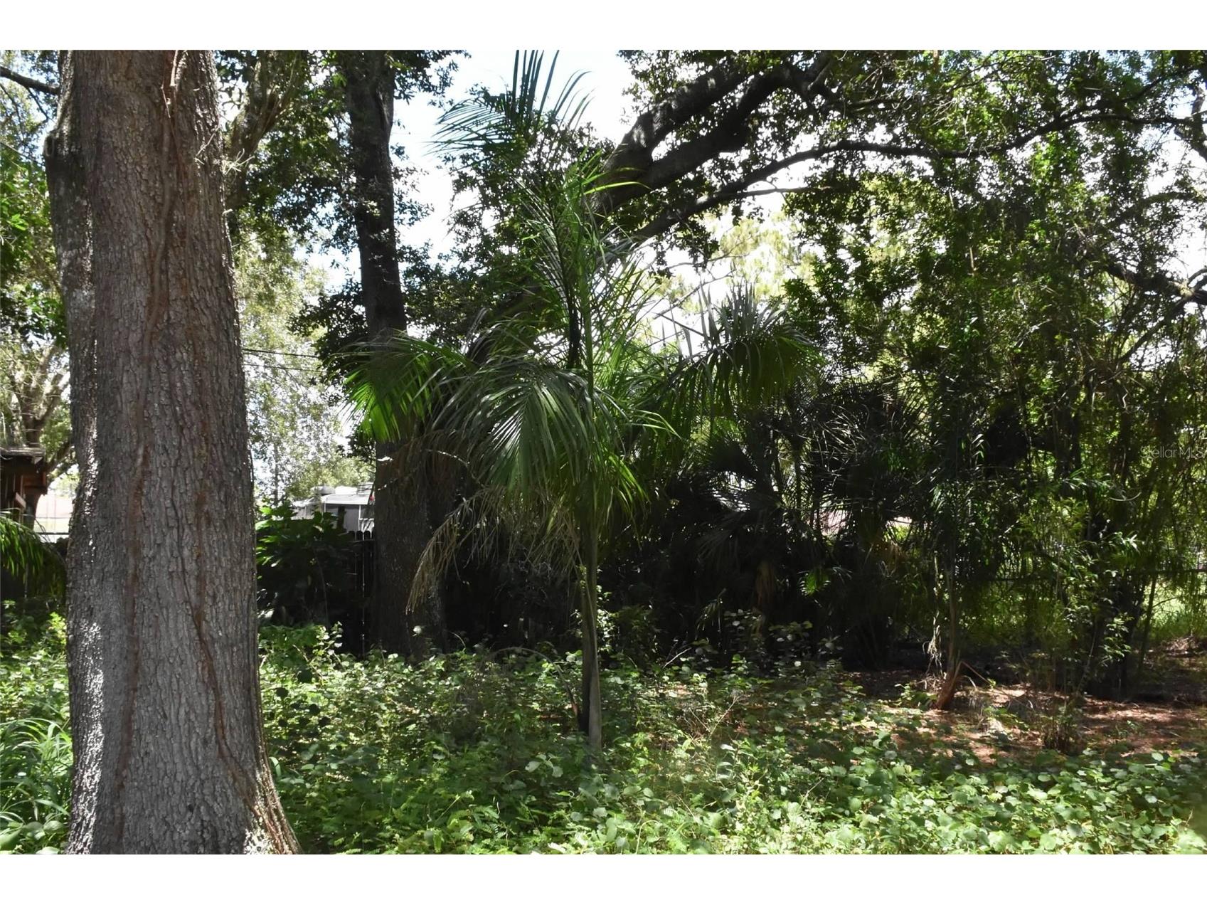 907 Pine Street Immokalee FL 34142 L4962538 image30