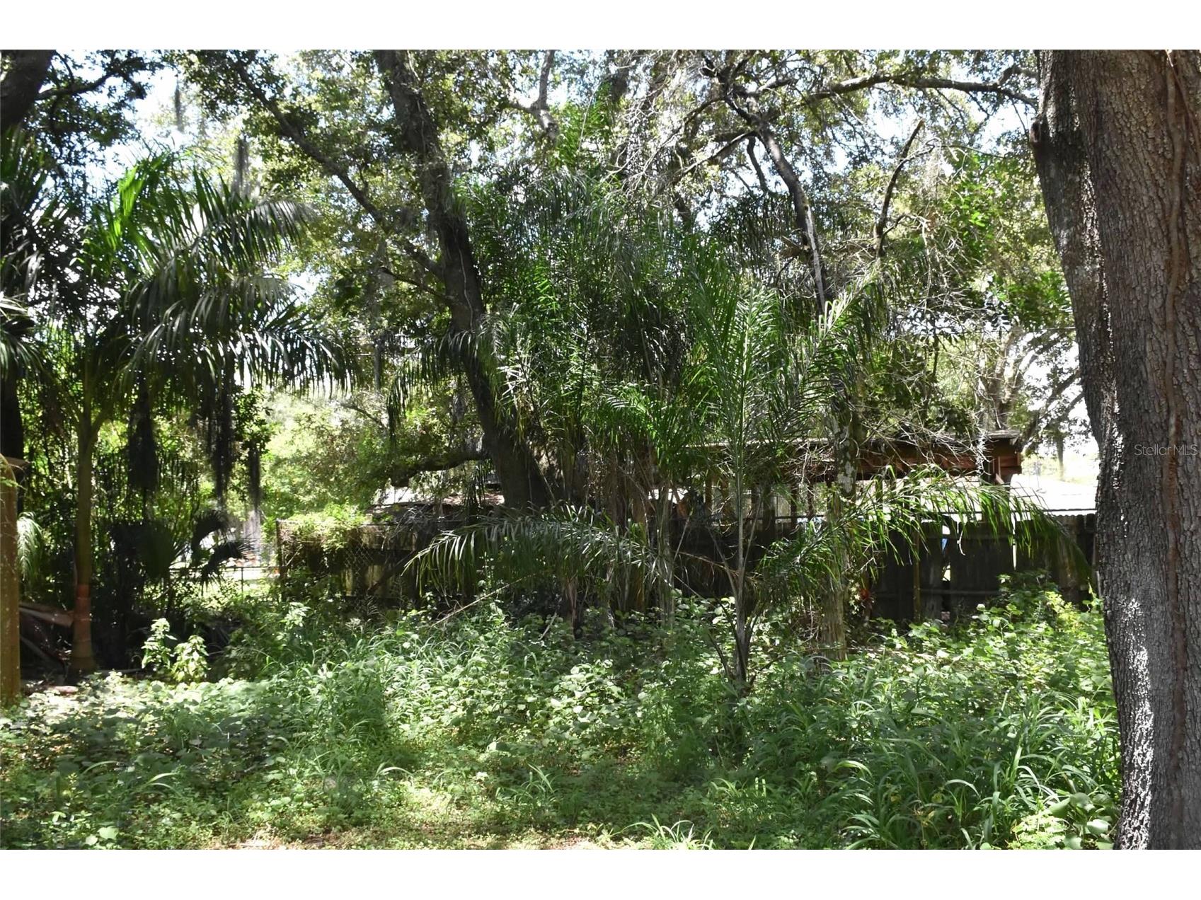 907 Pine Street Immokalee FL 34142 L4962538 image32