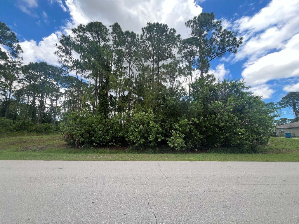 907 Sarasota Drive SE Palm Bay FL 32909 OK224151 image1