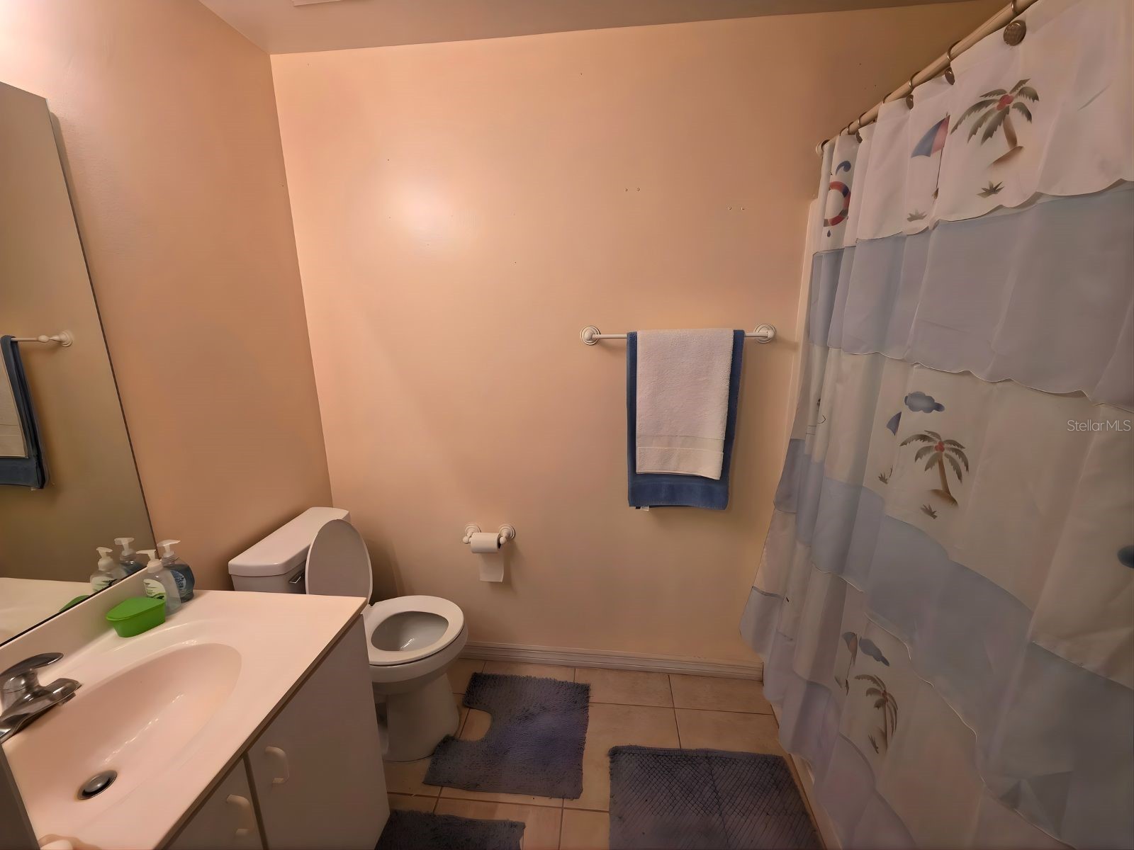 907 Stockport Drive Kissimmee FL 34758 S5148313 image13