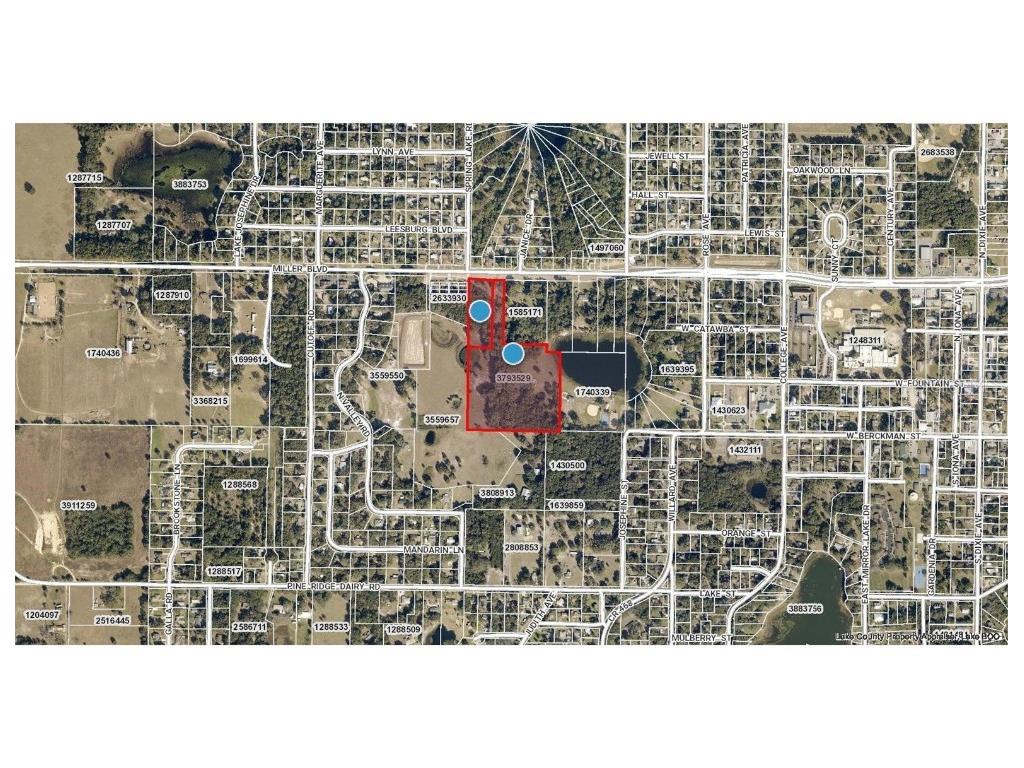 907 W Miller Street Fruitland Park FL 34731 - Fountain Lake G5065033 image3