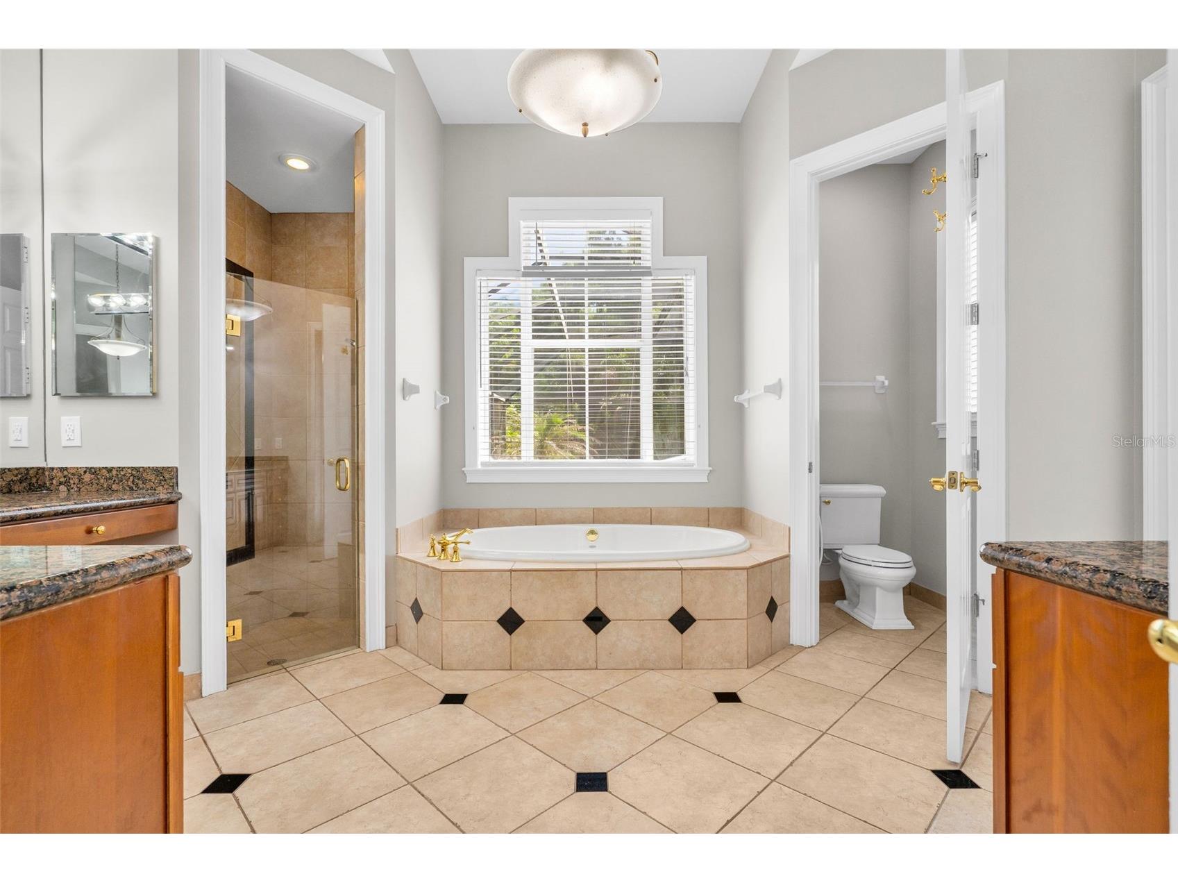 907 Westpark Drive Celebration FL 34747 S5150987 image22