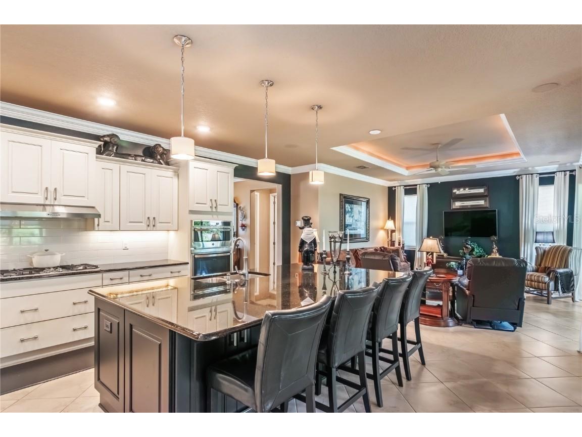 9070 SW 89th Loop Ocala FL 34481 OM711909 image29