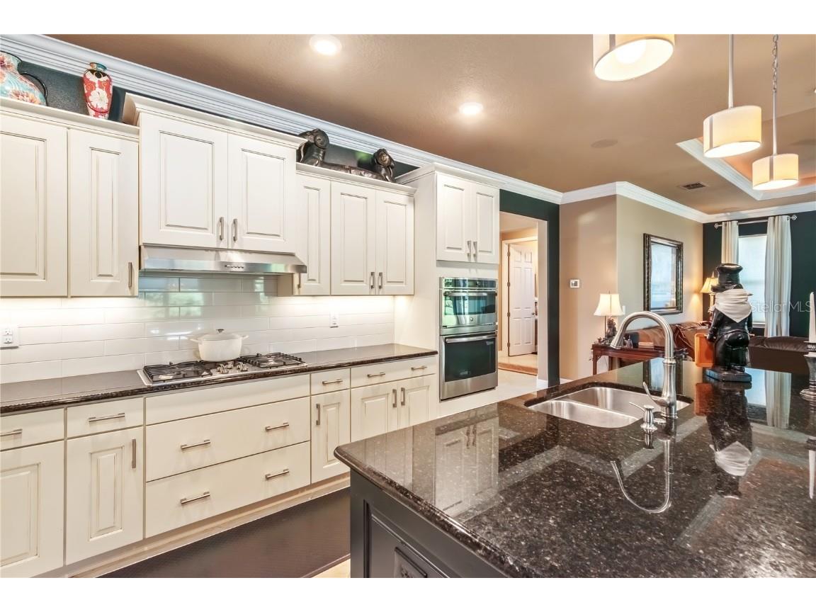 9070 SW 89th Loop Ocala FL 34481 OM711909 image31