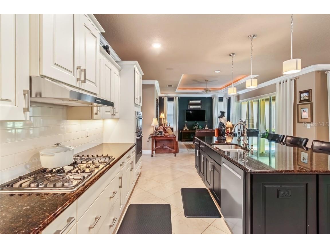 9070 SW 89th Loop Ocala FL 34481 OM711909 image32