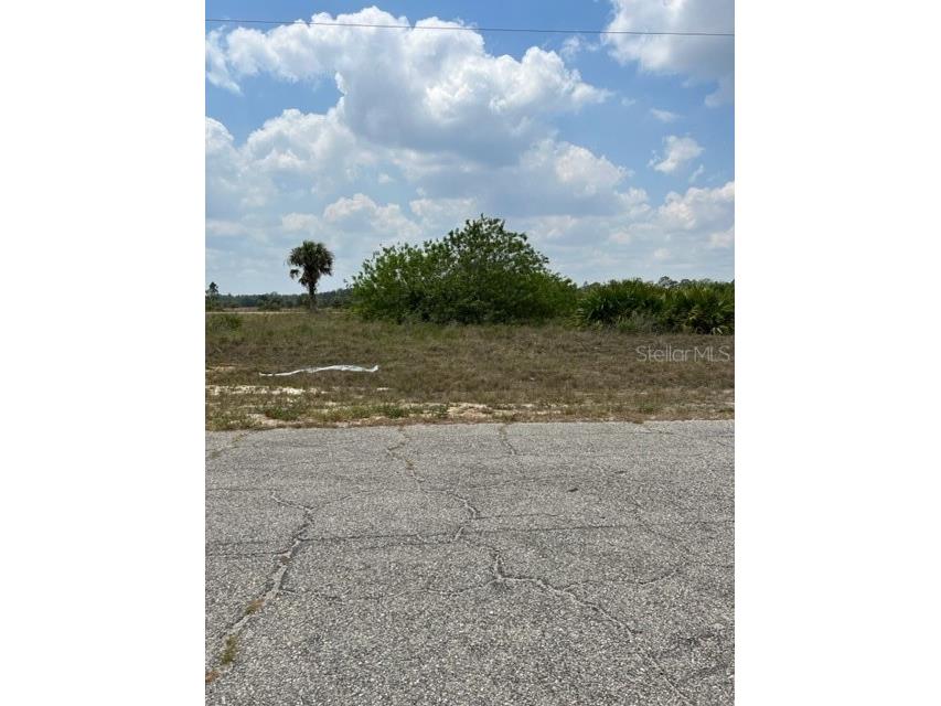 9071 Bamboo Circle Labelle FL 33935 U8202186 image1