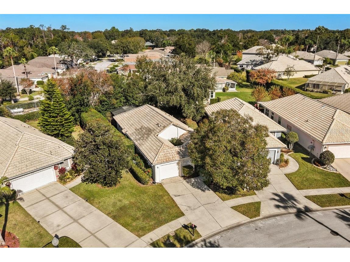 9071 Saint Andrews Way Mount Dora FL 32757 O6367575 image29