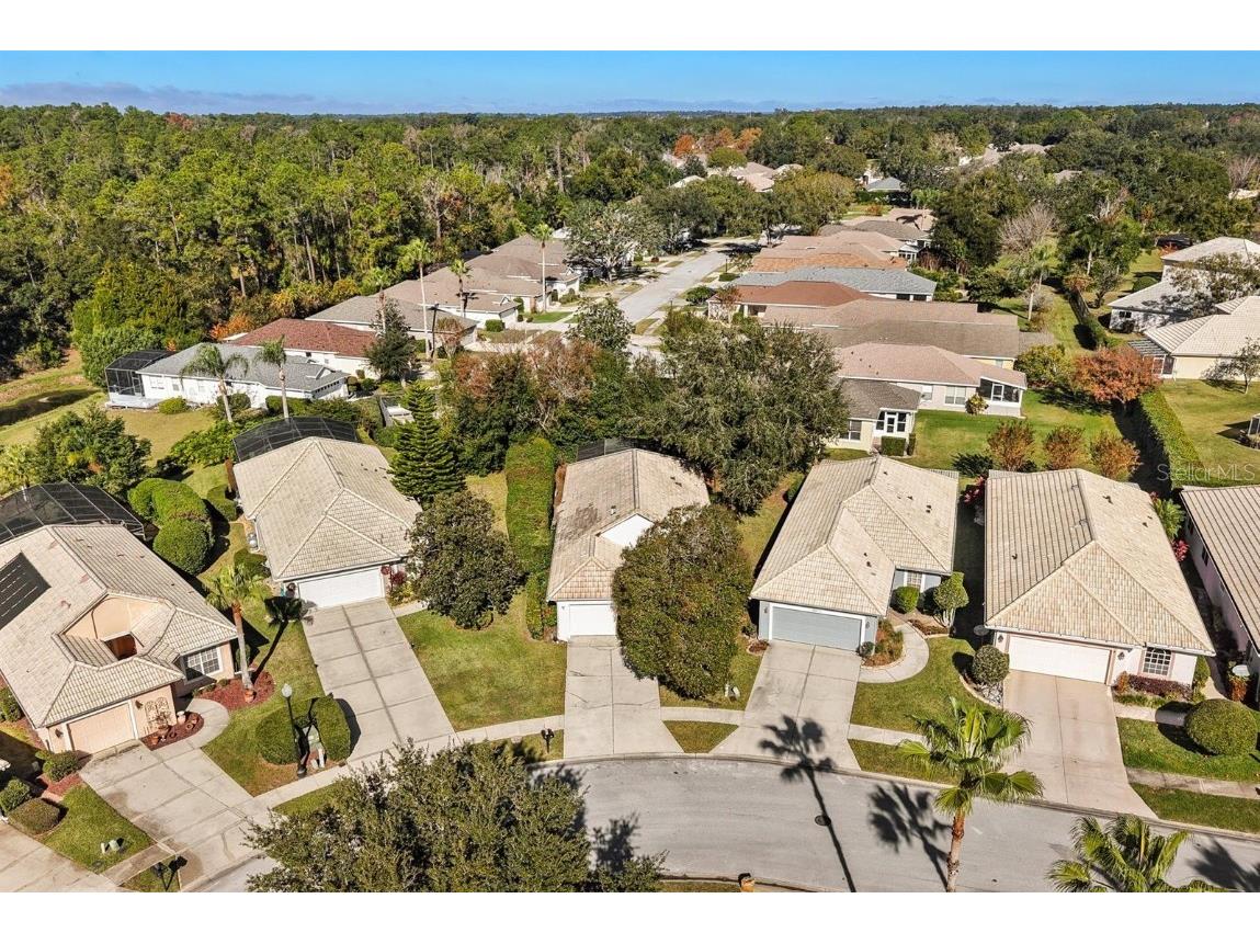 9071 Saint Andrews Way Mount Dora FL 32757 O6367575 image30