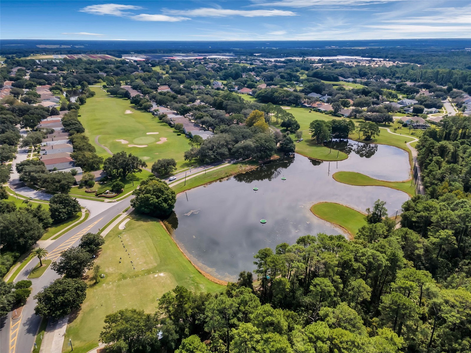 9073 Saint Andrews Way Mount Dora FL 32757 G5111728 image46