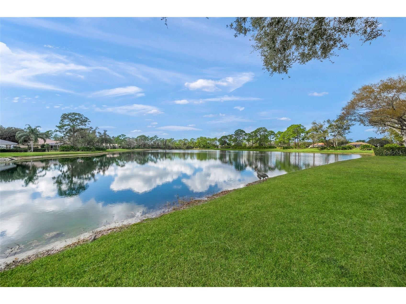 9075 Misty Creek Drive Sarasota FL 34241 A4681366 image51