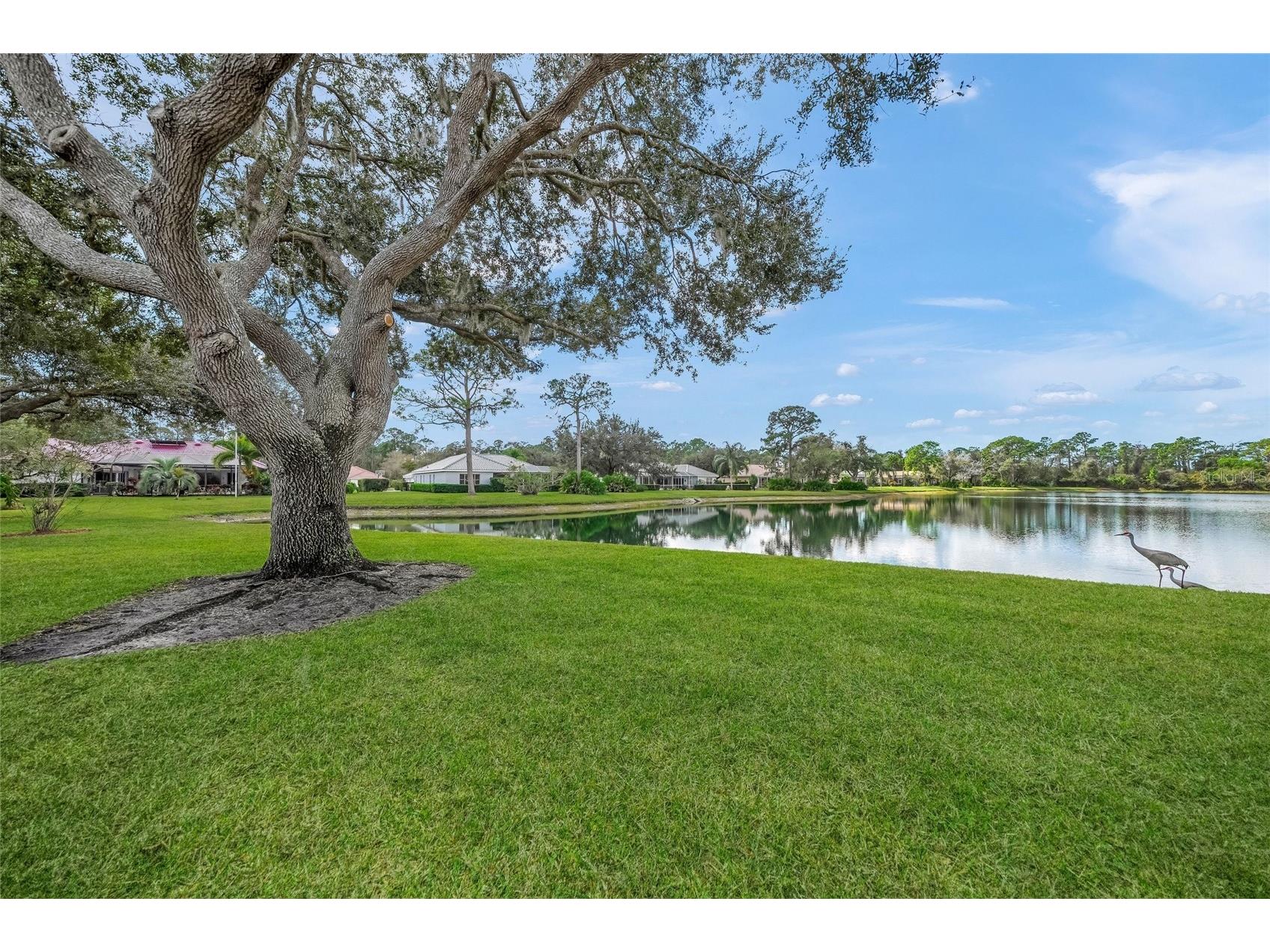 9075 Misty Creek Drive Sarasota FL 34241 A4681366 image52