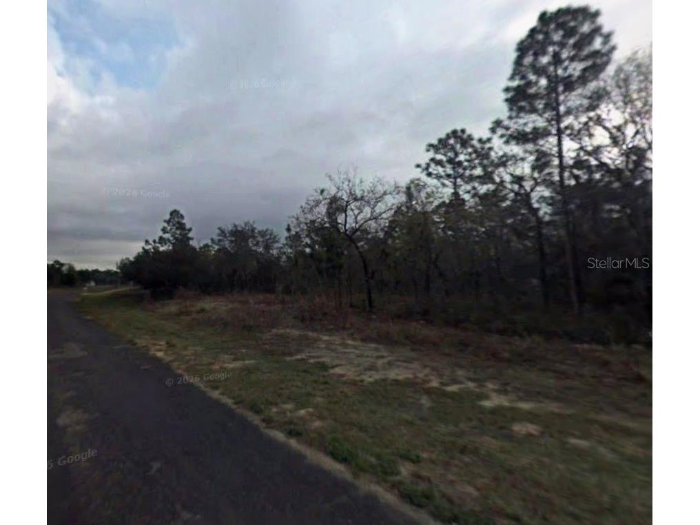 9075 N Marcus Way Citrus Springs FL 34433 TB8466626 image2
