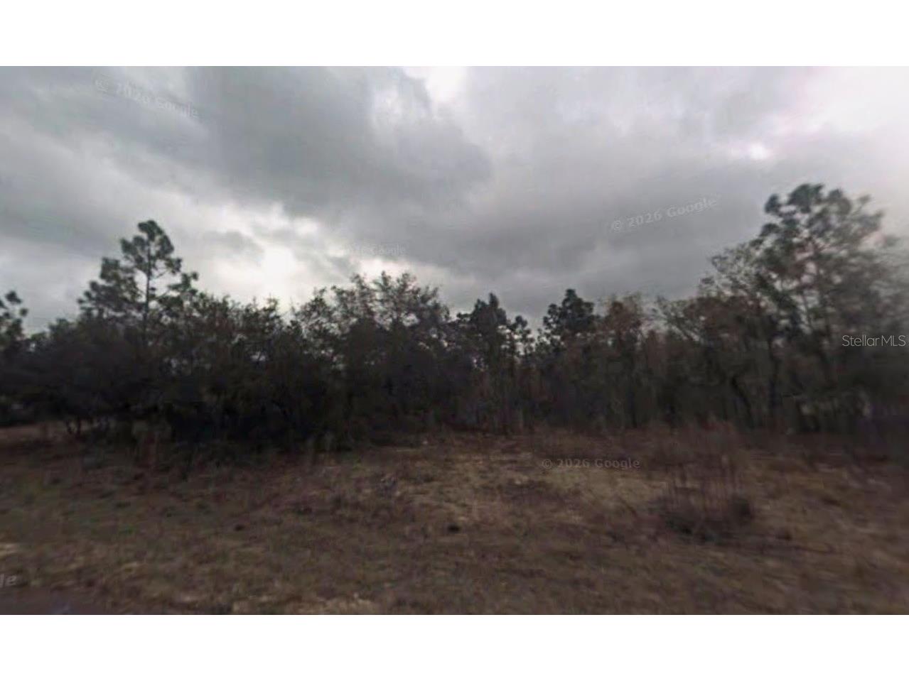 9075 N Marcus Way Citrus Springs FL 34433 TB8466626 image3
