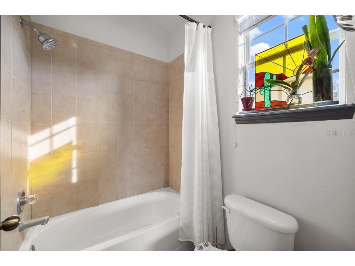 9077 Moonlit Meadows Loop Riverview FL 33578 TB8452614 image11