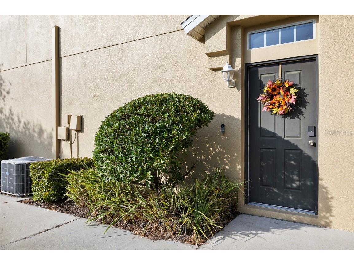 9077 Moonlit Meadows Loop Riverview FL 33578 TB8452614 image24