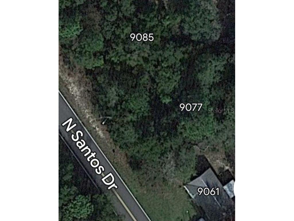9077 N Santos Drive Citrus Springs FL 34434 O6088124 image1