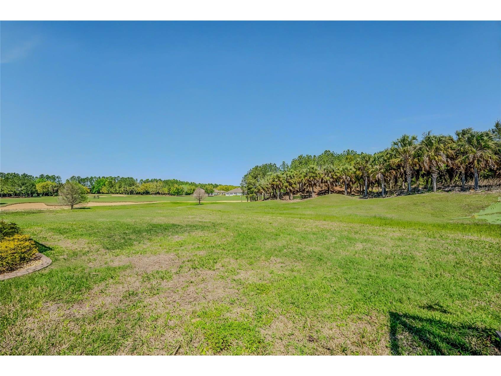 9077 SW 70th Loop Ocala FL 34481 OM721576 image41