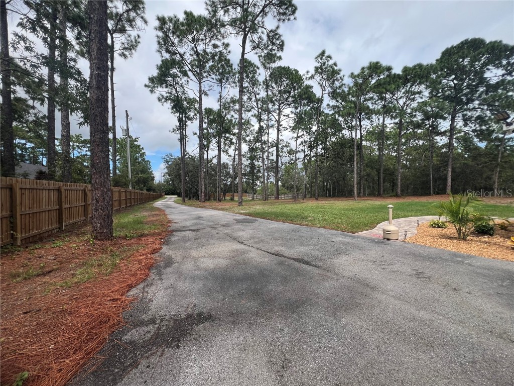 9078 Birmingham Avenue Weeki Wachee FL 34613 TB8423857 image13