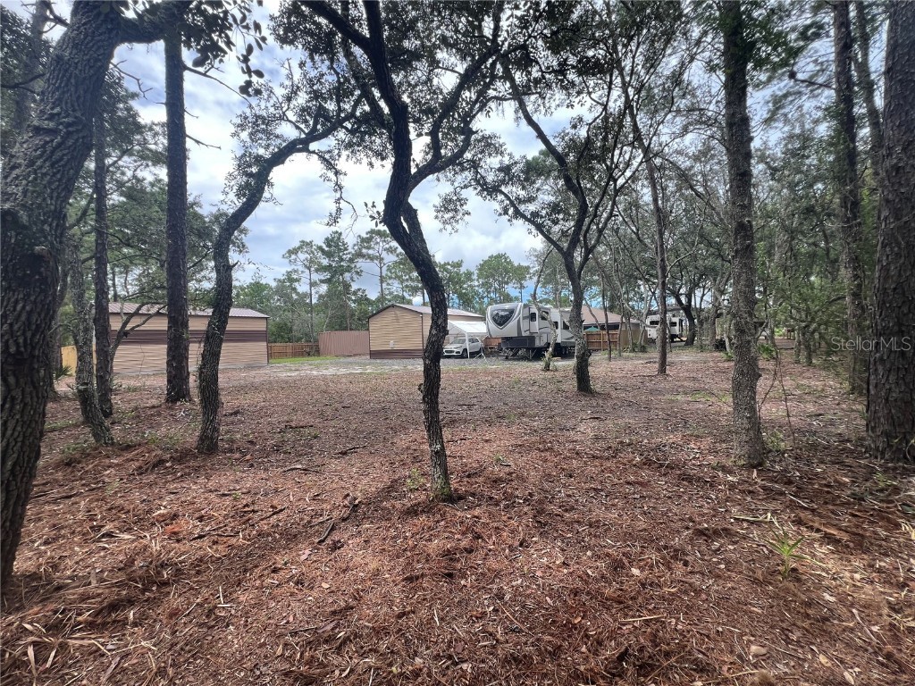 9078 Birmingham Avenue Weeki Wachee FL 34613 TB8423857 image49