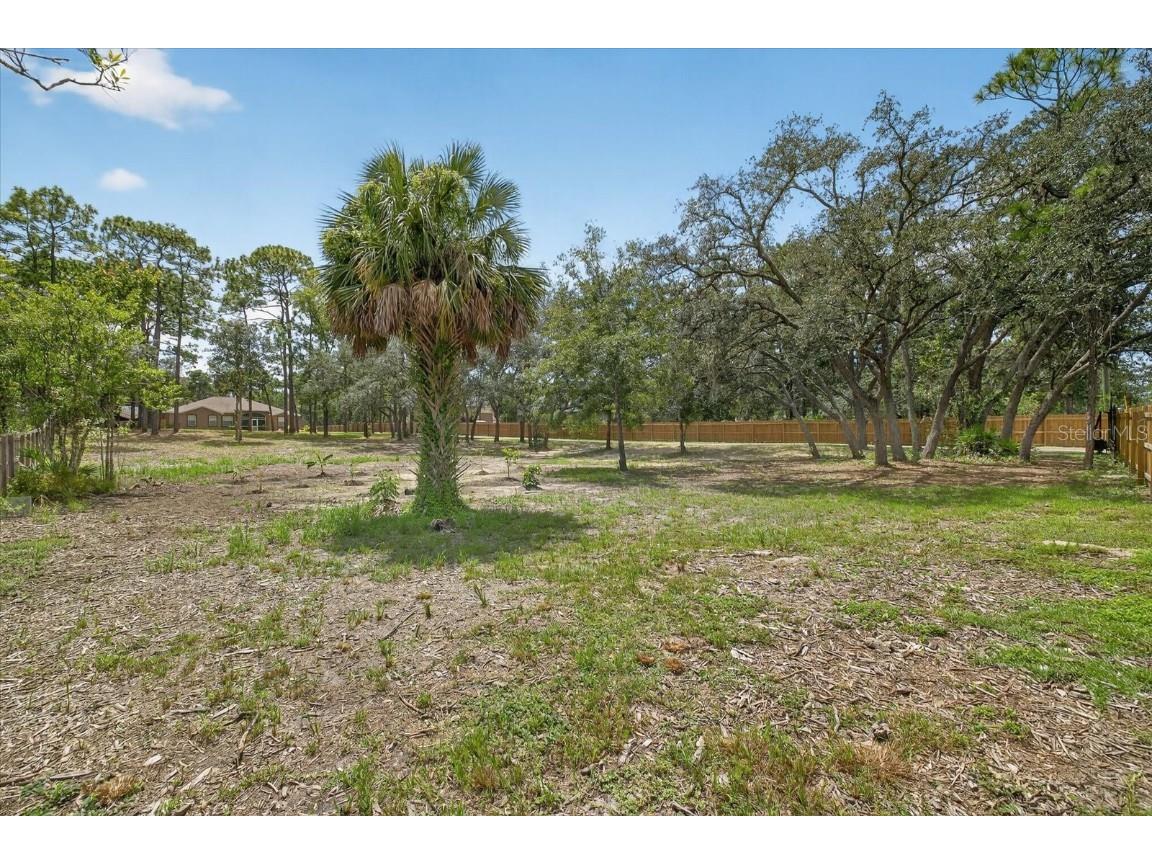 9078 Birmingham Avenue Weeki Wachee FL 34613 TB8423857 image9