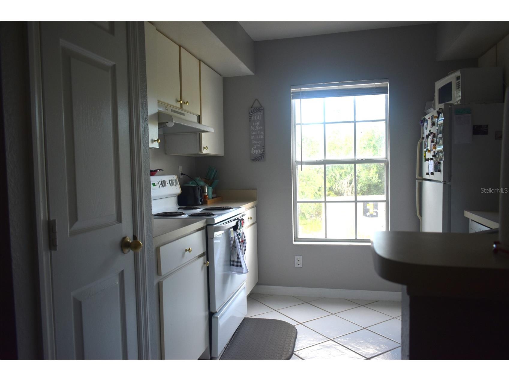 9078 Lake Chase Island Way Tampa FL 33626 W7885825 image12