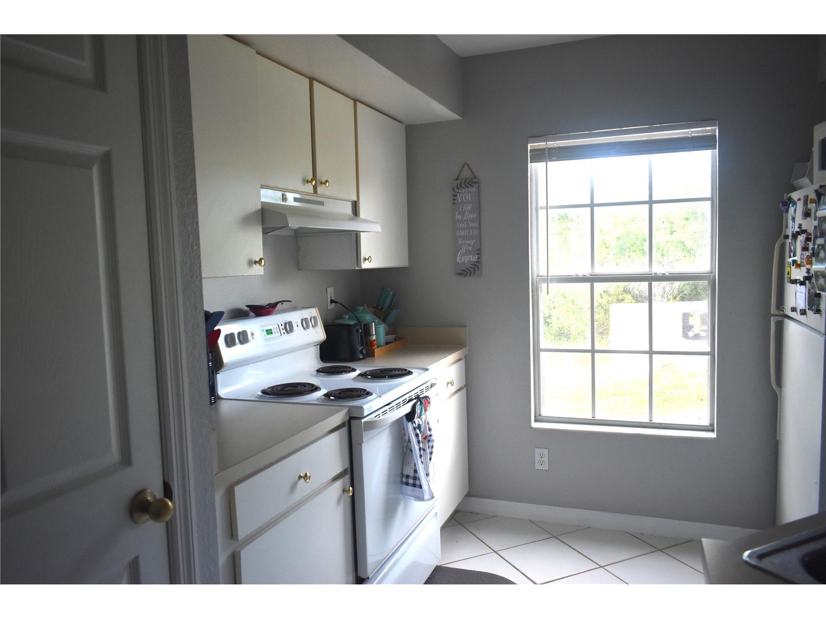 9078 Lake Chase Island Way Tampa FL 33626 W7885825 image13