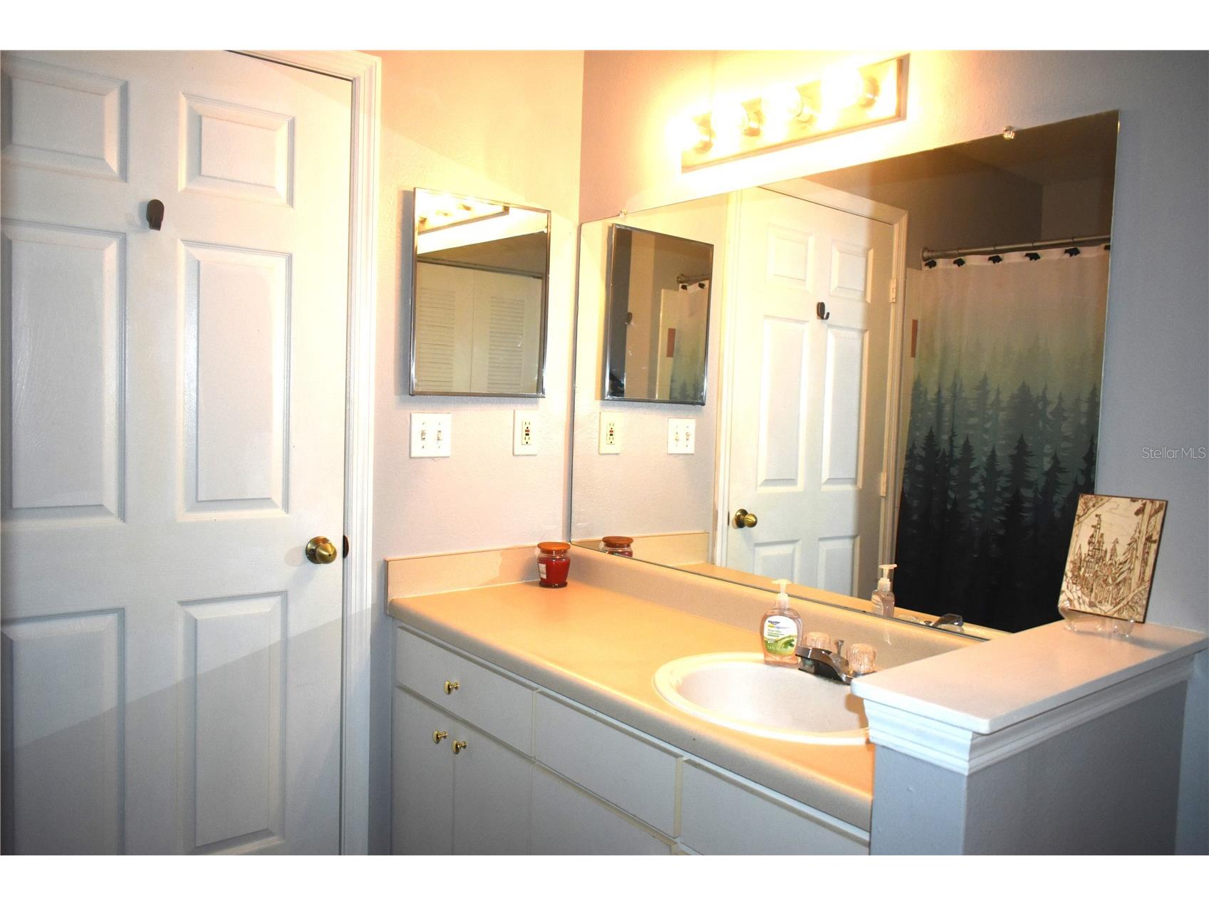 9078 Lake Chase Island Way Tampa FL 33626 W7885825 image19