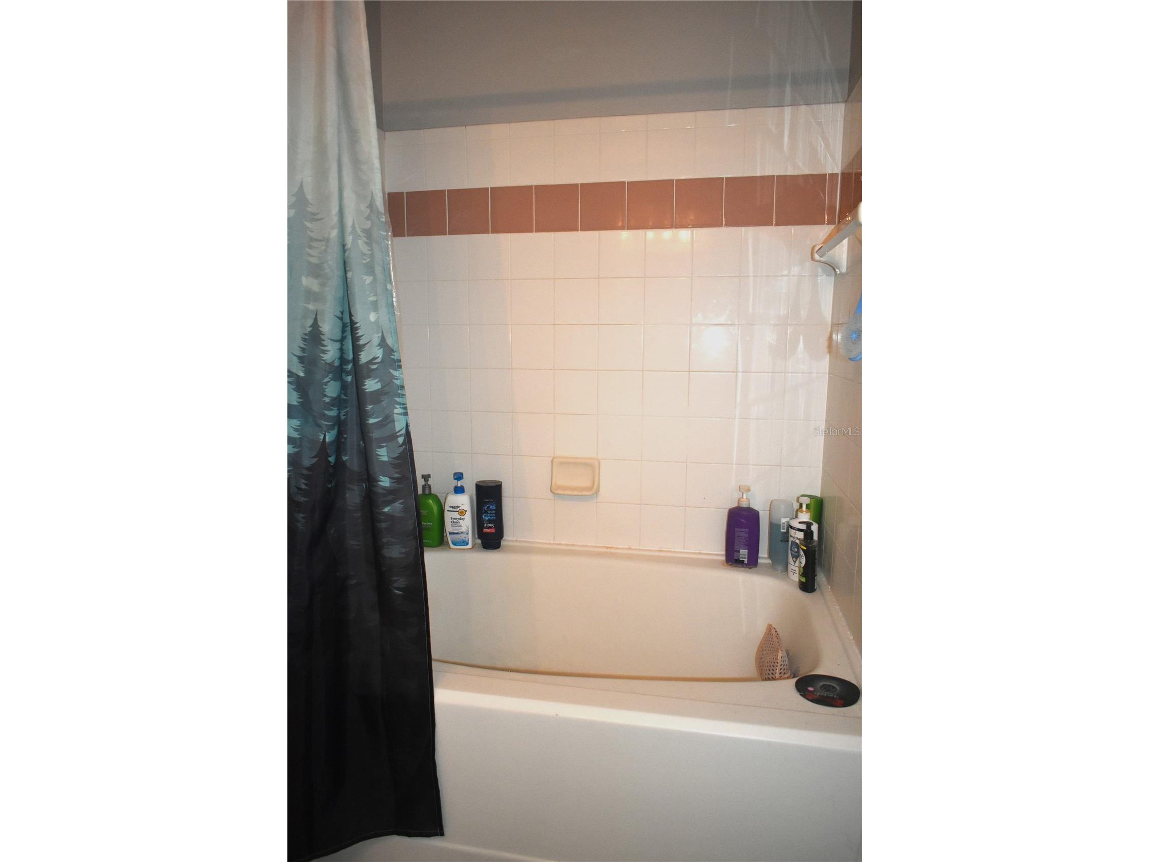9078 Lake Chase Island Way Tampa FL 33626 W7885825 image22