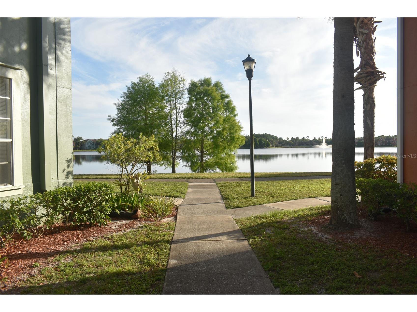 9078 Lake Chase Island Way Tampa FL 33626 W7885825 image32