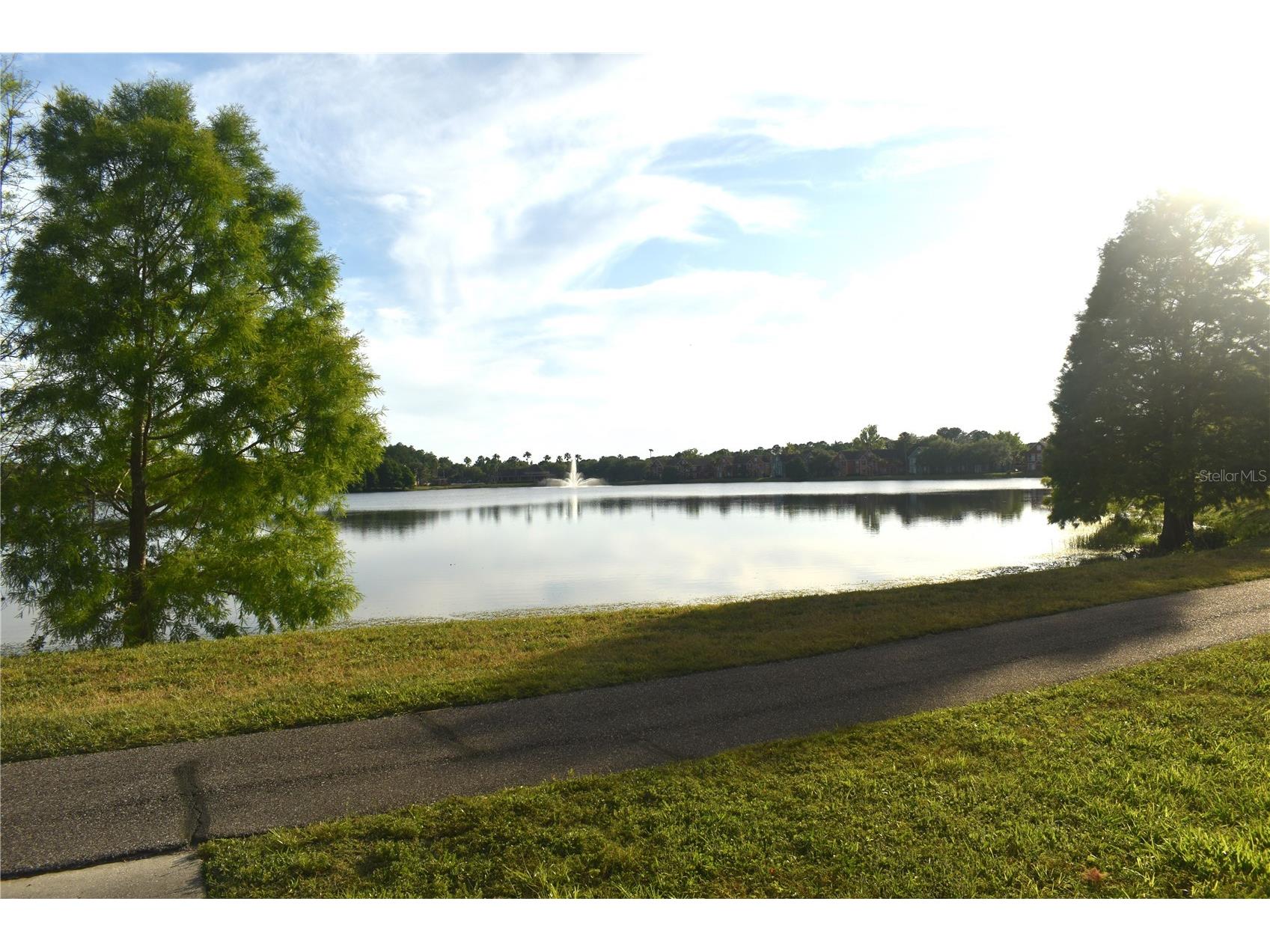 9078 Lake Chase Island Way Tampa FL 33626 W7885825 image33