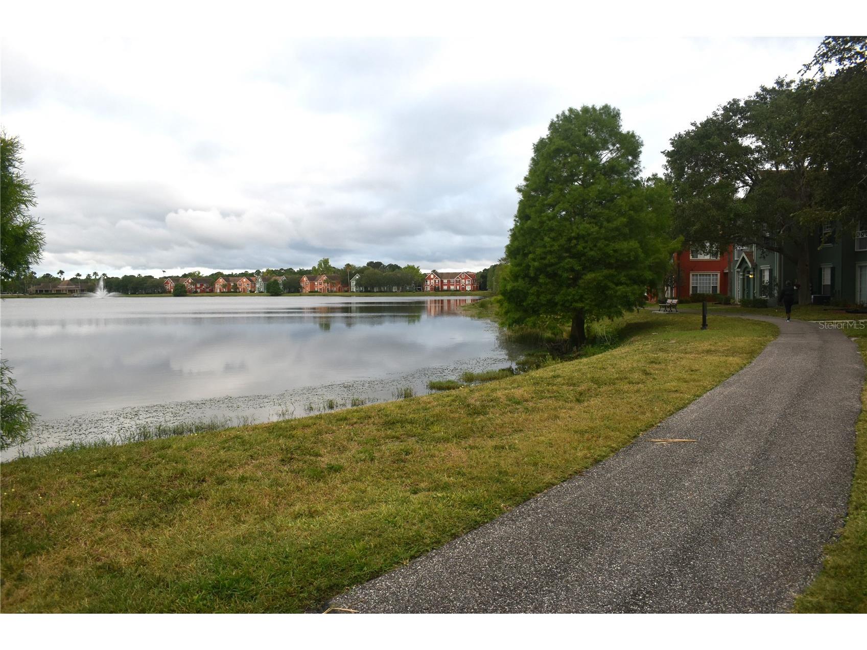 9078 Lake Chase Island Way Tampa FL 33626 W7885825 image34