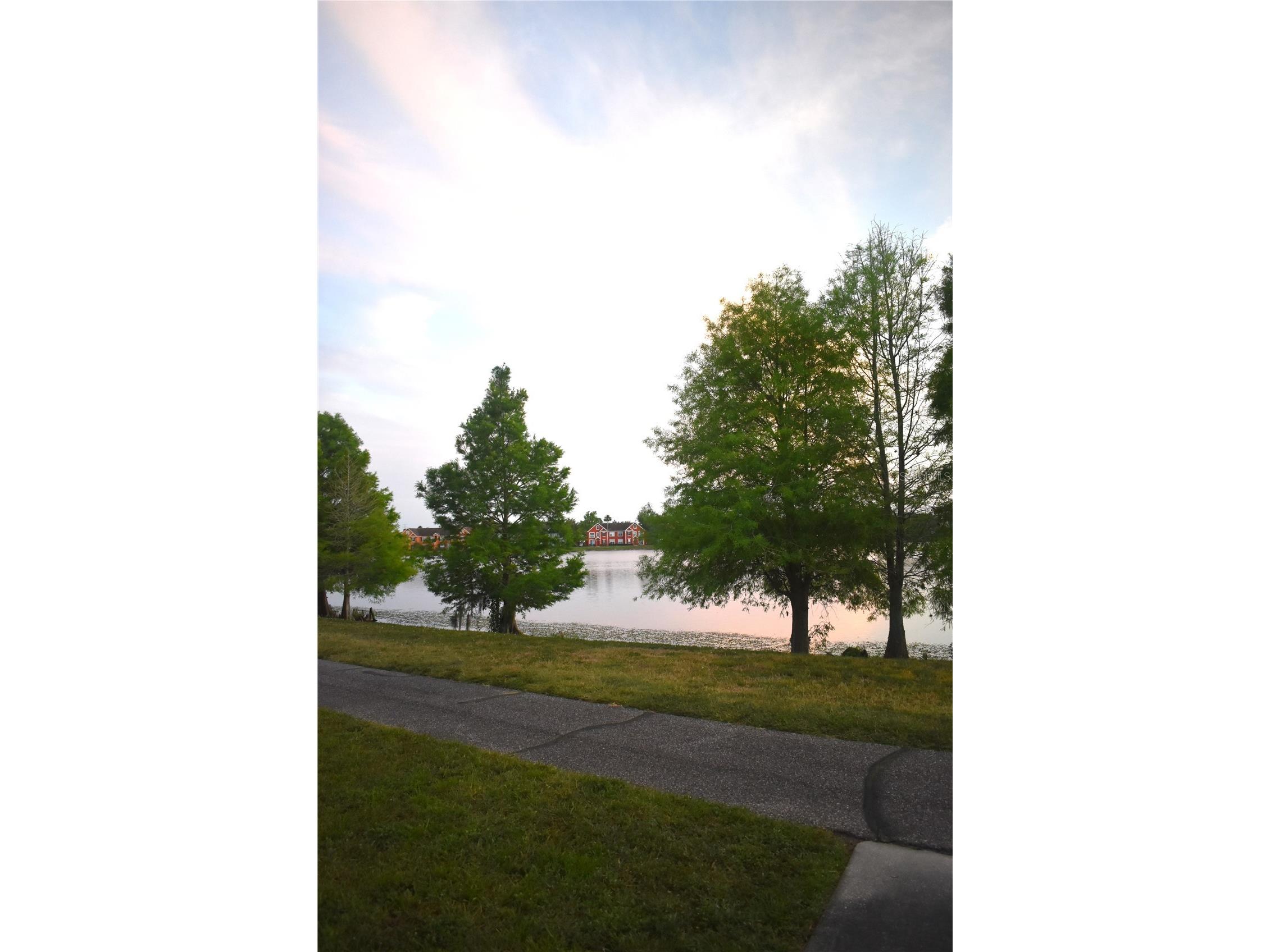 9078 Lake Chase Island Way Tampa FL 33626 W7885825 image35