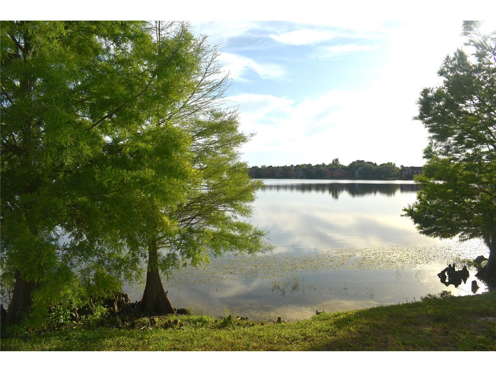 9078 Lake Chase Island Way Tampa FL 33626 W7885825 image42