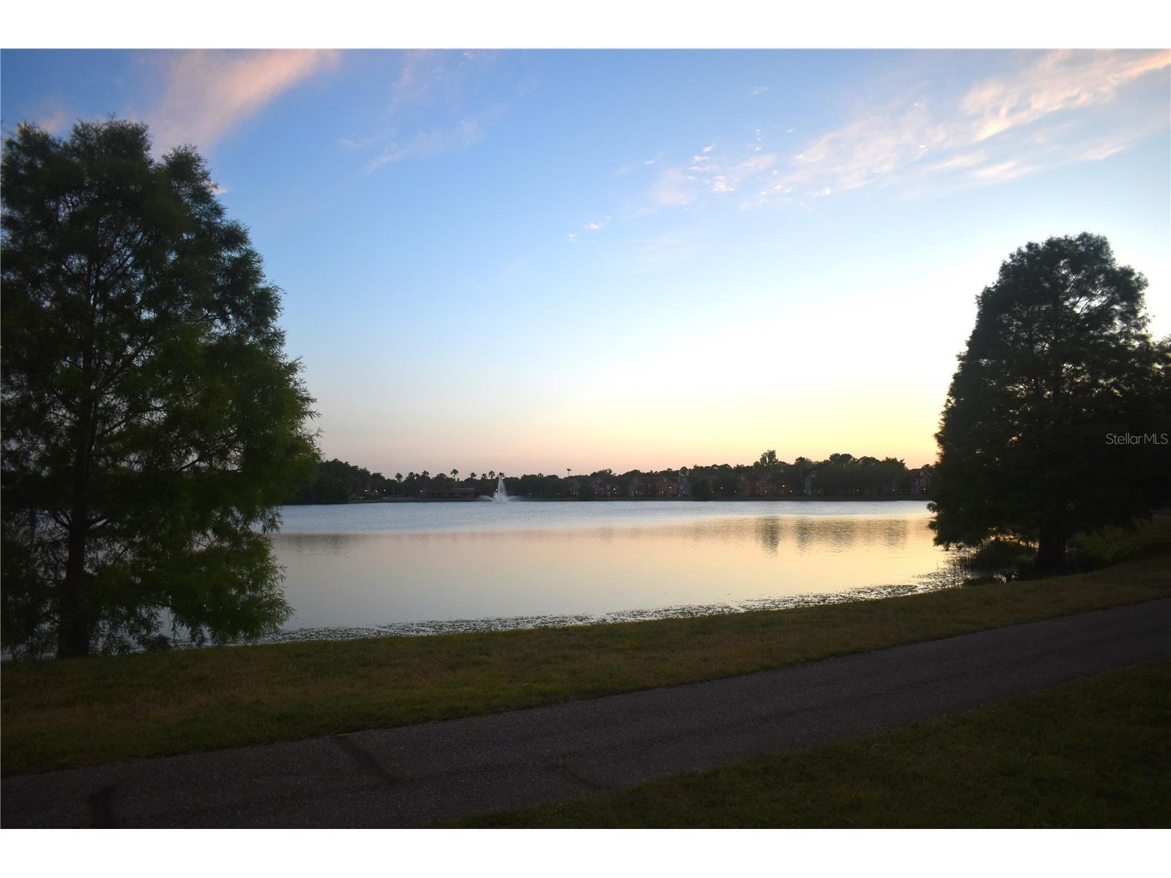9078 Lake Chase Island Way Tampa FL 33626 W7885825 image43