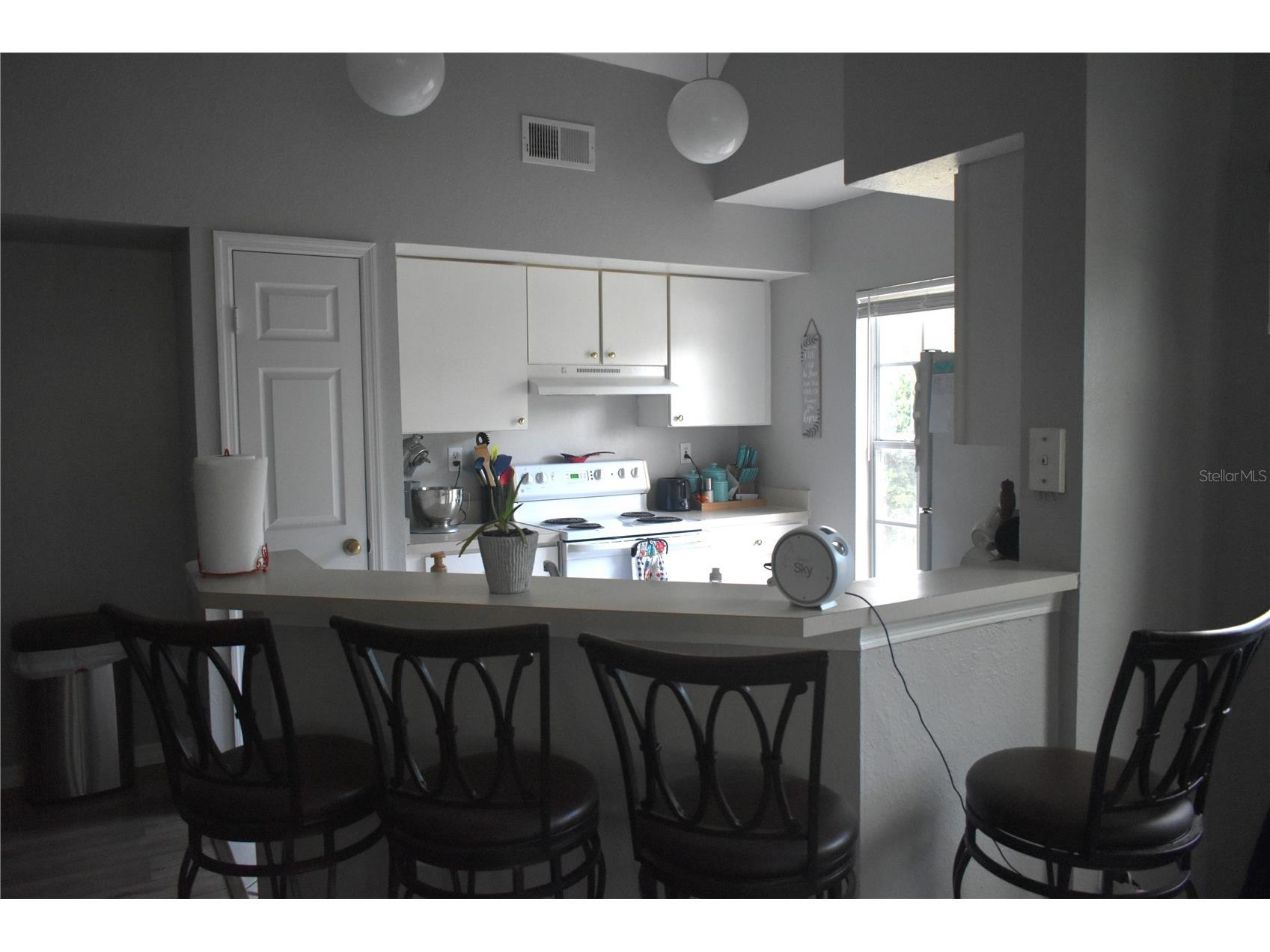 9078 Lake Chase Island Way Tampa FL 33626 W7885825 image7