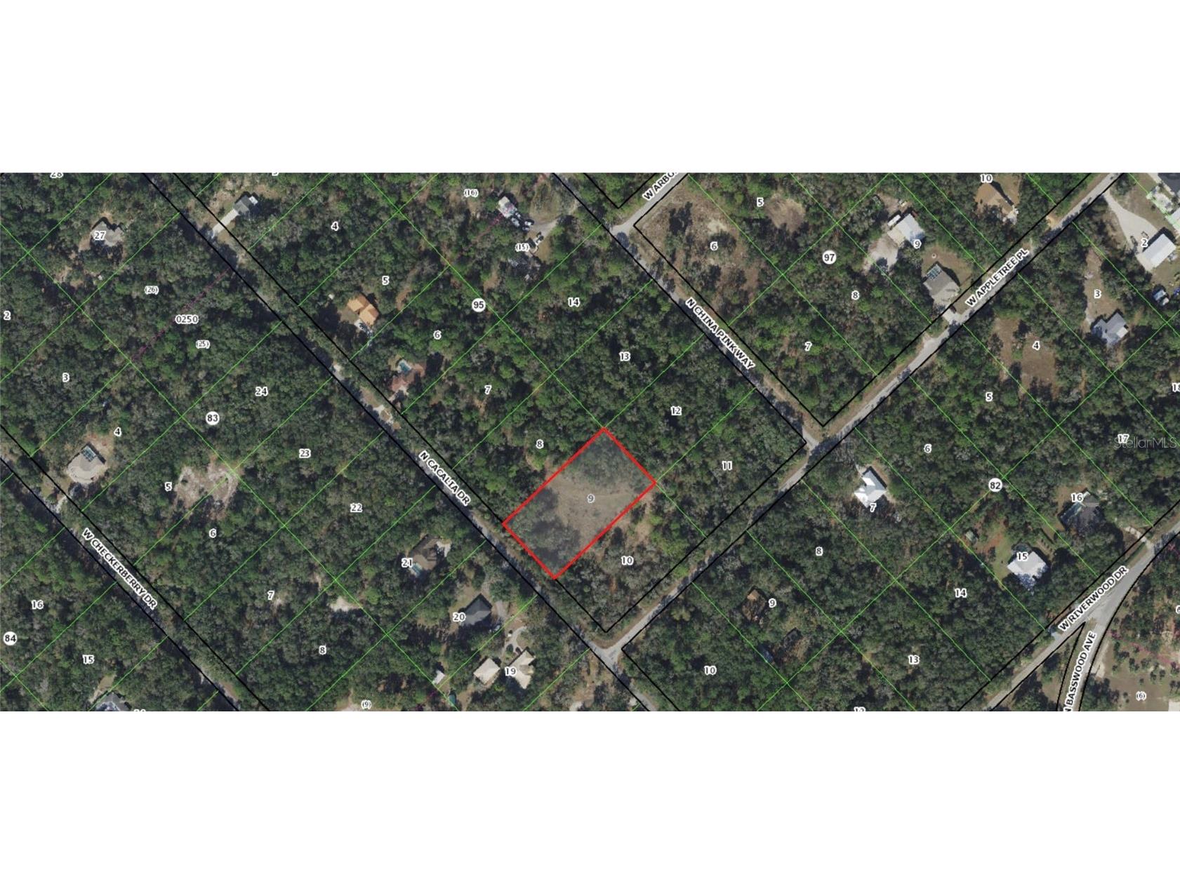 9079 N Cacalia Drive Crystal River FL 34428 A4590196 image1