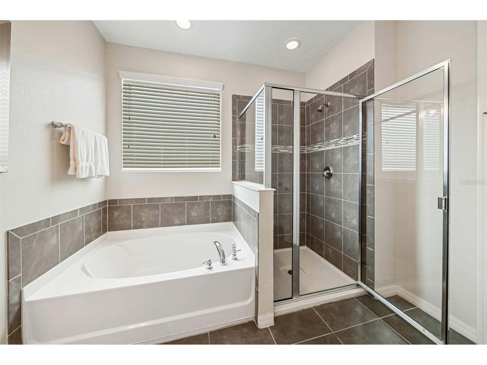 9079 Sunshine Ridge Loop Kissimmee FL 34747 O6373418 image43