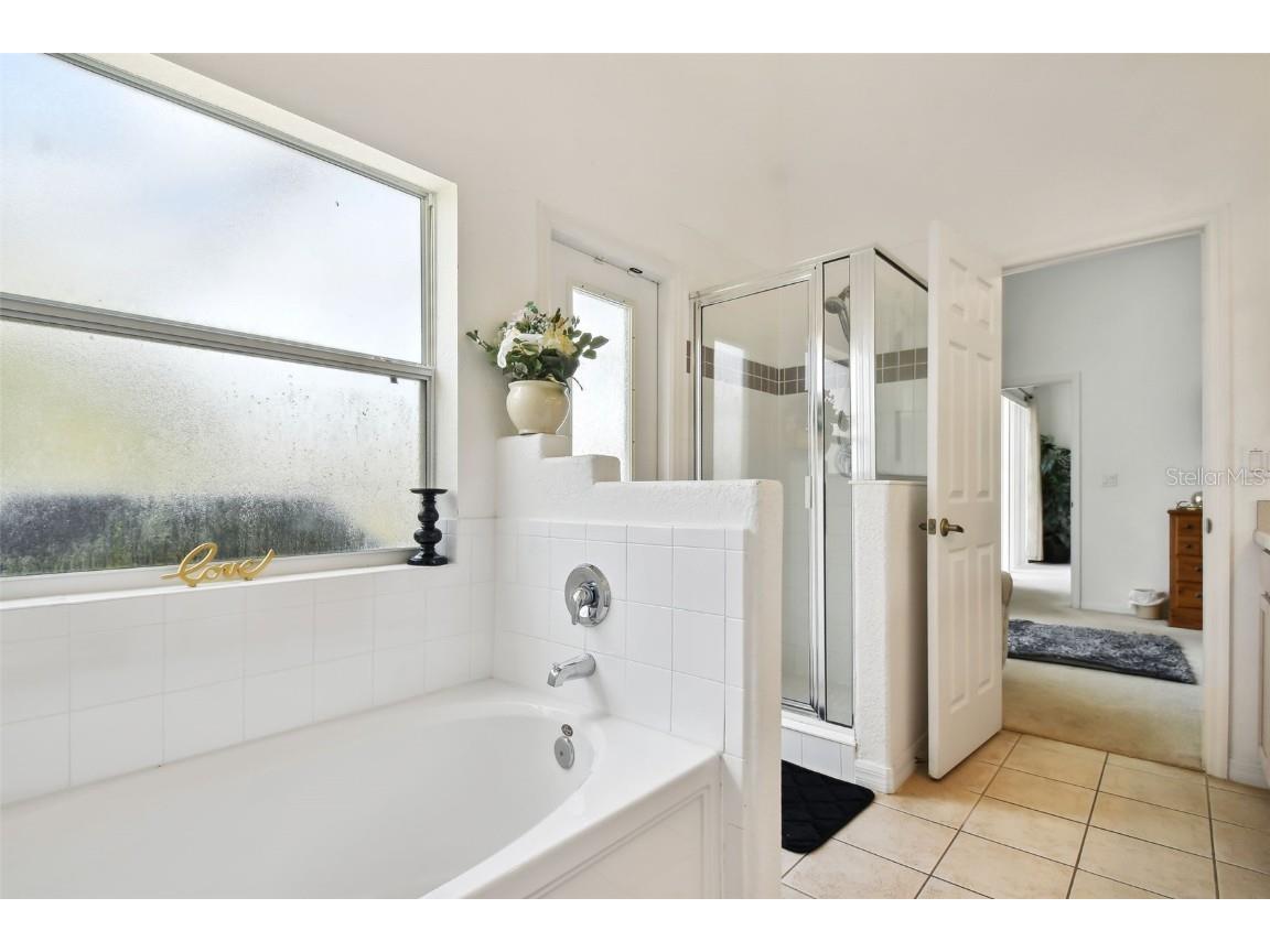 908 Andalusia Loop Davenport FL 33837 TB8445683 image46