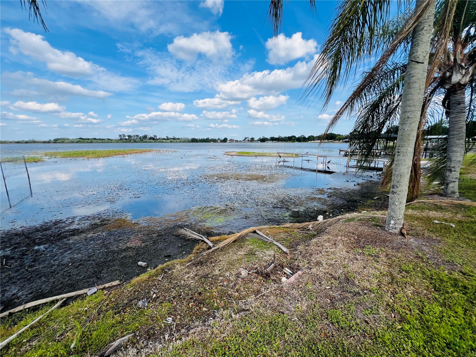 908 Lake Jessie Drive Winter Haven FL 33881 - LAKE JESSIE P4938735 image11