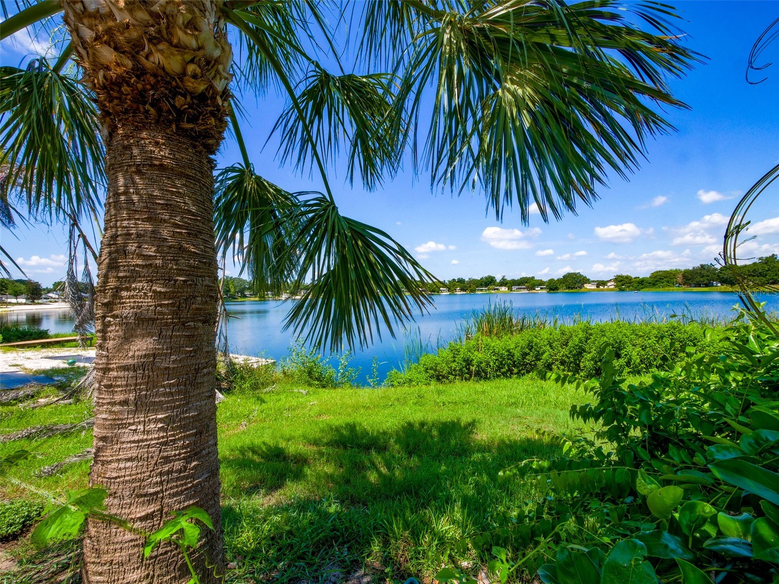 908 Marabon Avenue Orlando FL 32806 - LAKE GILES O6423112 image18