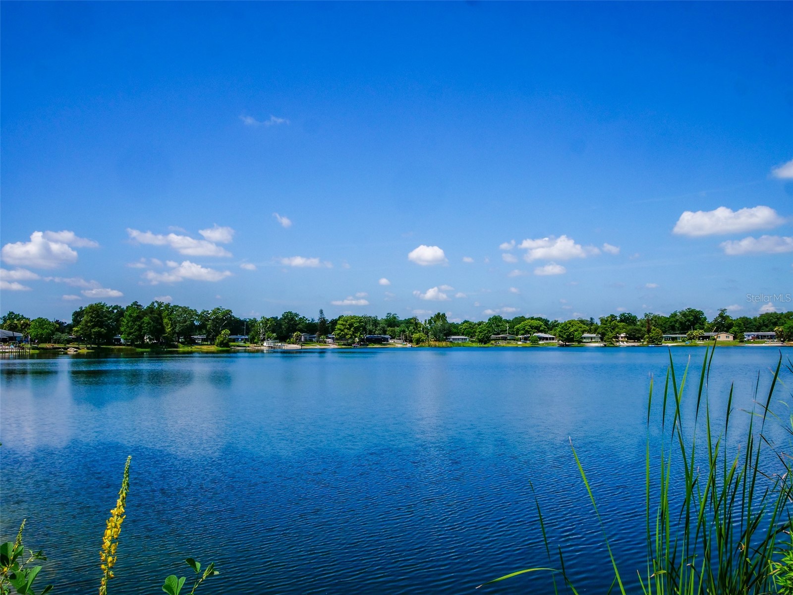 908 Marabon Avenue Orlando FL 32806 - LAKE GILES O6423112 image2