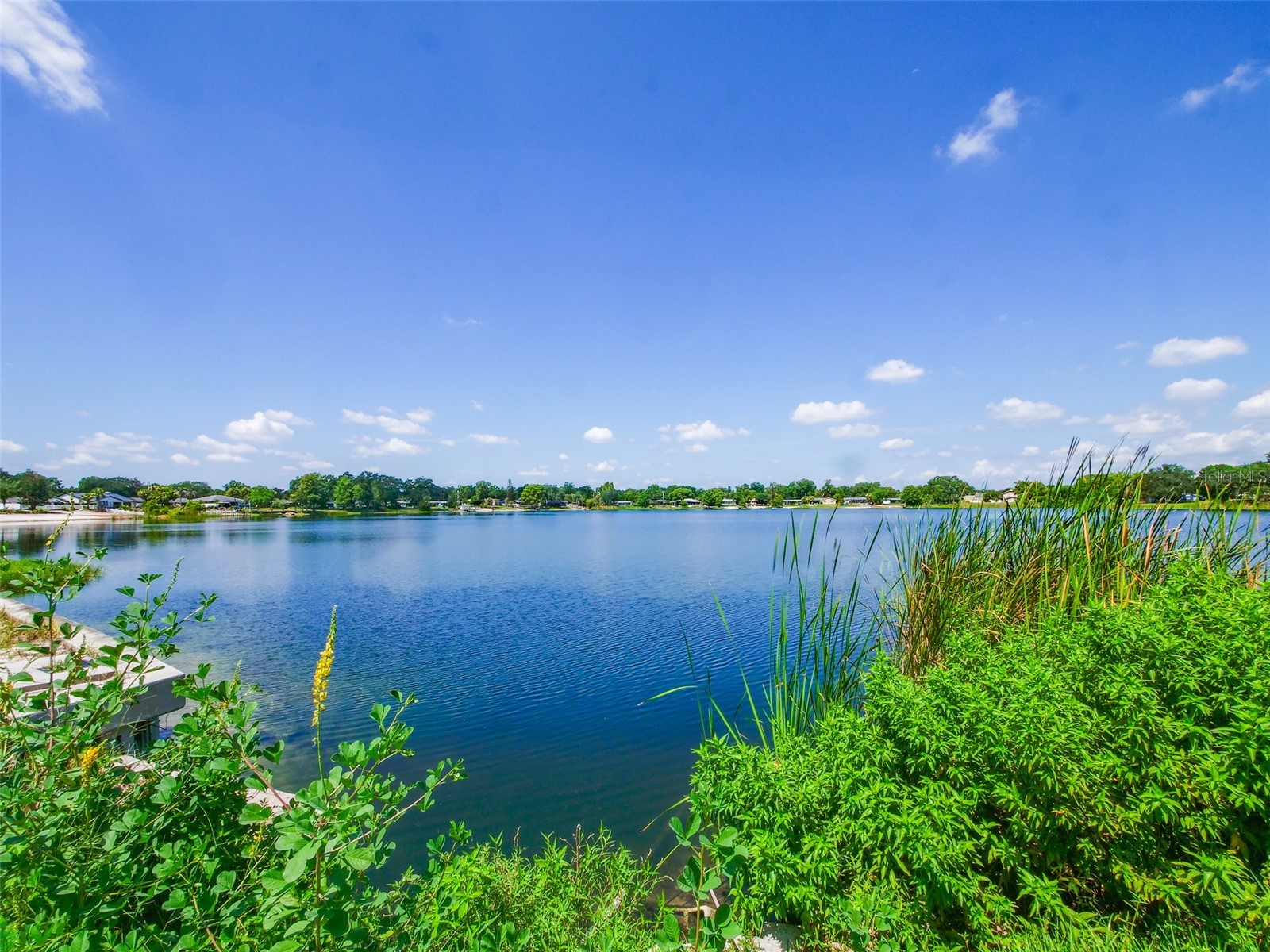 908 Marabon Avenue Orlando FL 32806 - LAKE GILES O6423112 image32