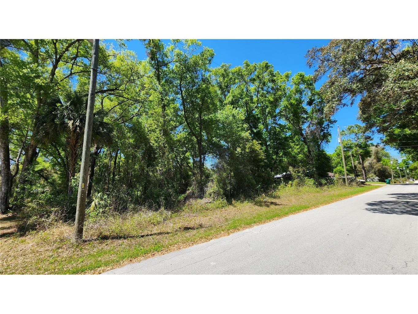 908 N Charles Avenue Inverness FL 34453 TB8367409 image1