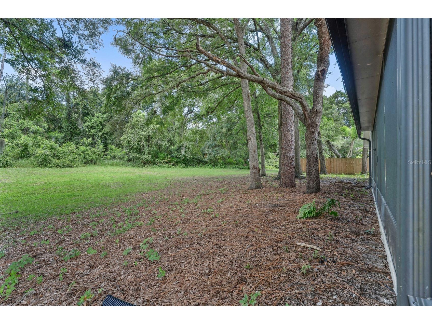 908 Oakwood Cove Altamonte Springs FL 32714 O6423492 image31